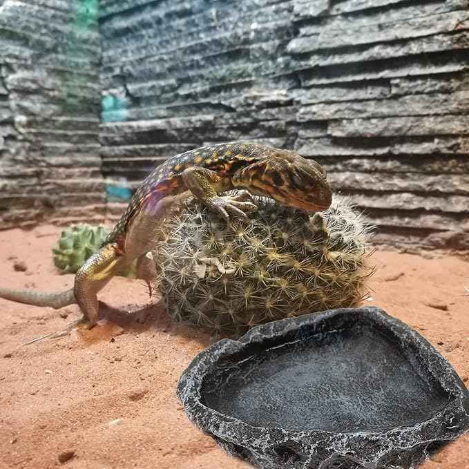 Reptile Water Dish Food Bowl, 2 Pack Reptile Feeding Dish Corner Bowl Terrarium Bowls for Bearded Dragon, Lizards, Frog, Gecko, Tortoise, Hermit Crab