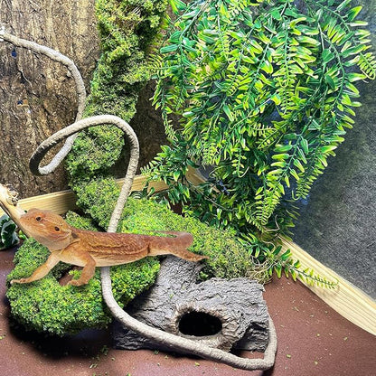 Flexible Rainforest Vines with Moss Set