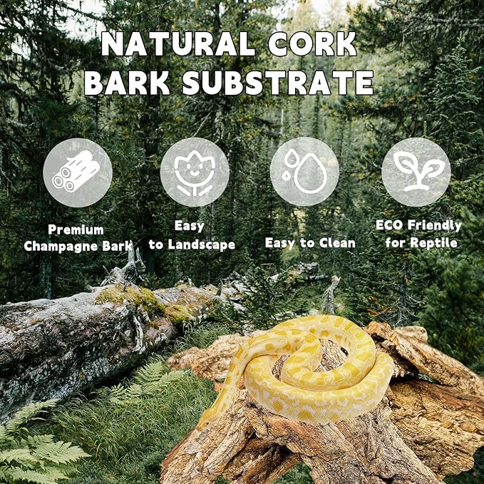 Natural Cork Bark for Terrariums, Habitats, and Enclosures (1.4 LB)