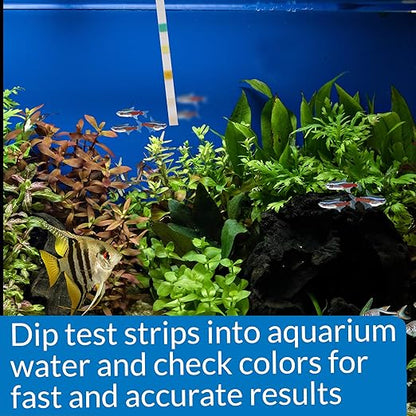 API Freshwater & Saltwater Aquarium Test Strips | 100 Pack