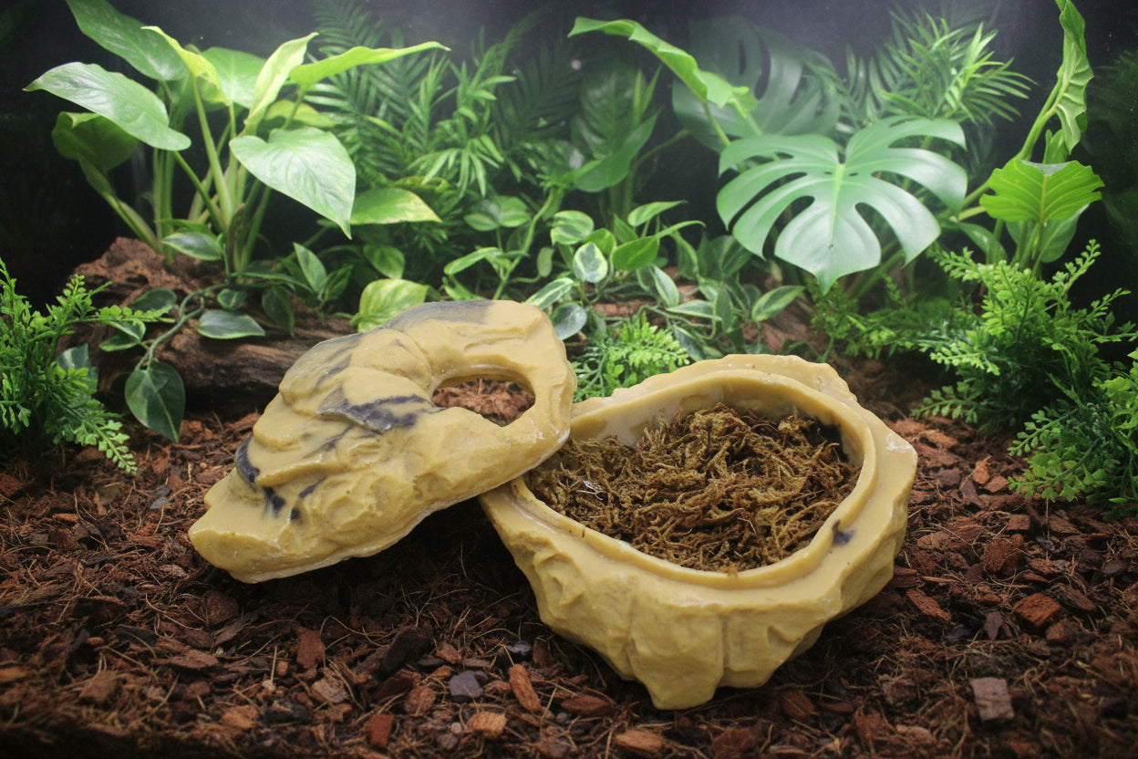 2-in-1 Naturalistic Reptile Hide & Humidity Cave