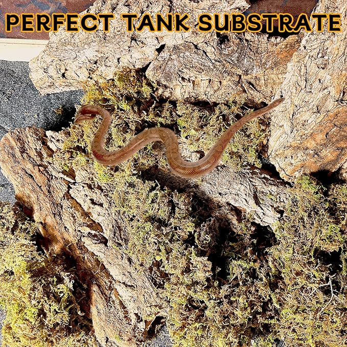 Natural Cork Bark for Terrariums, Habitats, and Enclosures (1.4 LB)