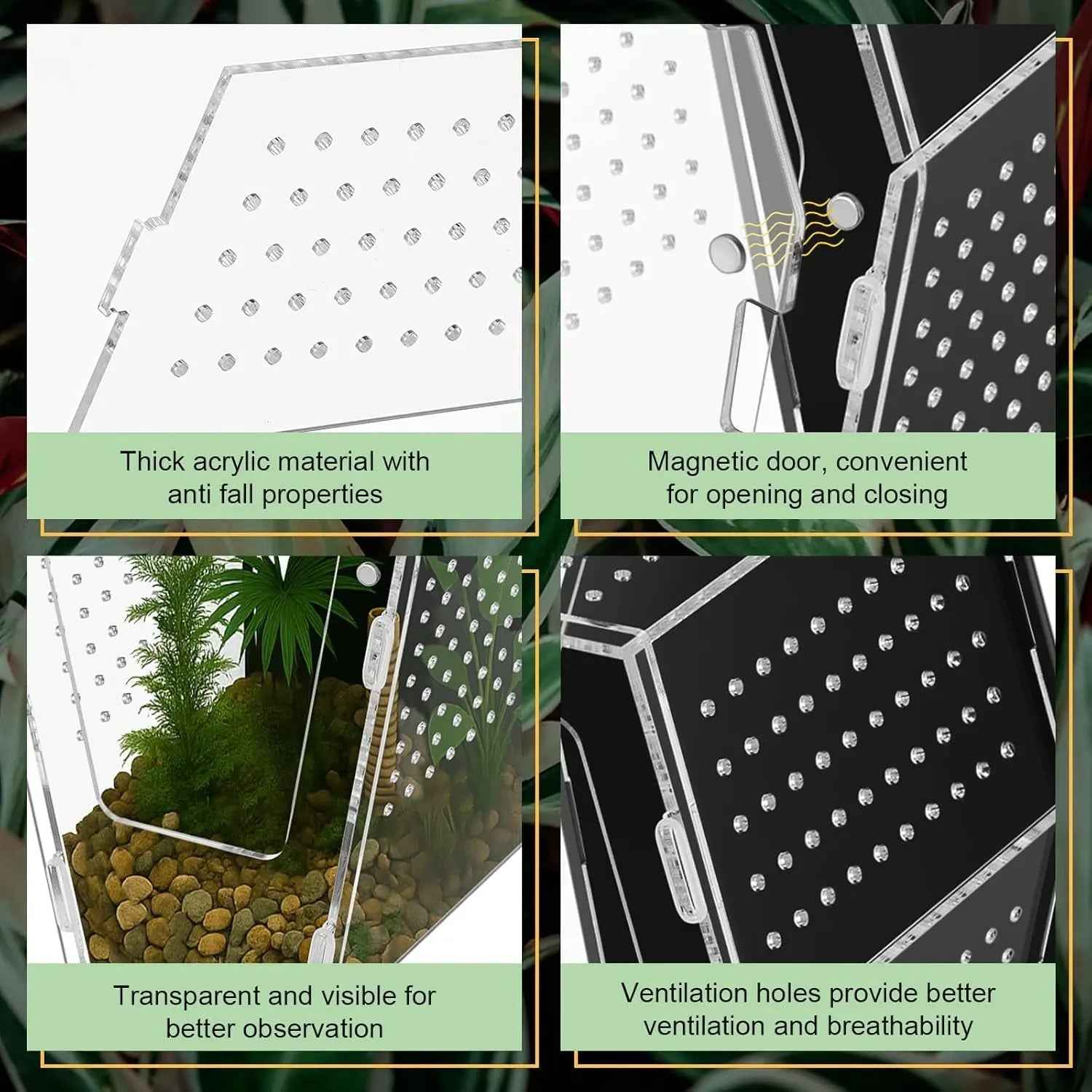 Acrylic Jumping Spider Habitat, Clear Insect & Reptile Terrarium Enclosure