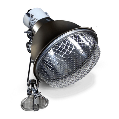 Arcadia Ceramic Reflector Clamp Lamp, Graphite - Scholarly Exotics LLC