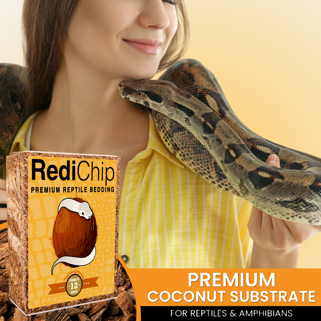 RediChip Premium Medium Sized Coconut Chips; Ready to Use - Scholarly Exotics LLC