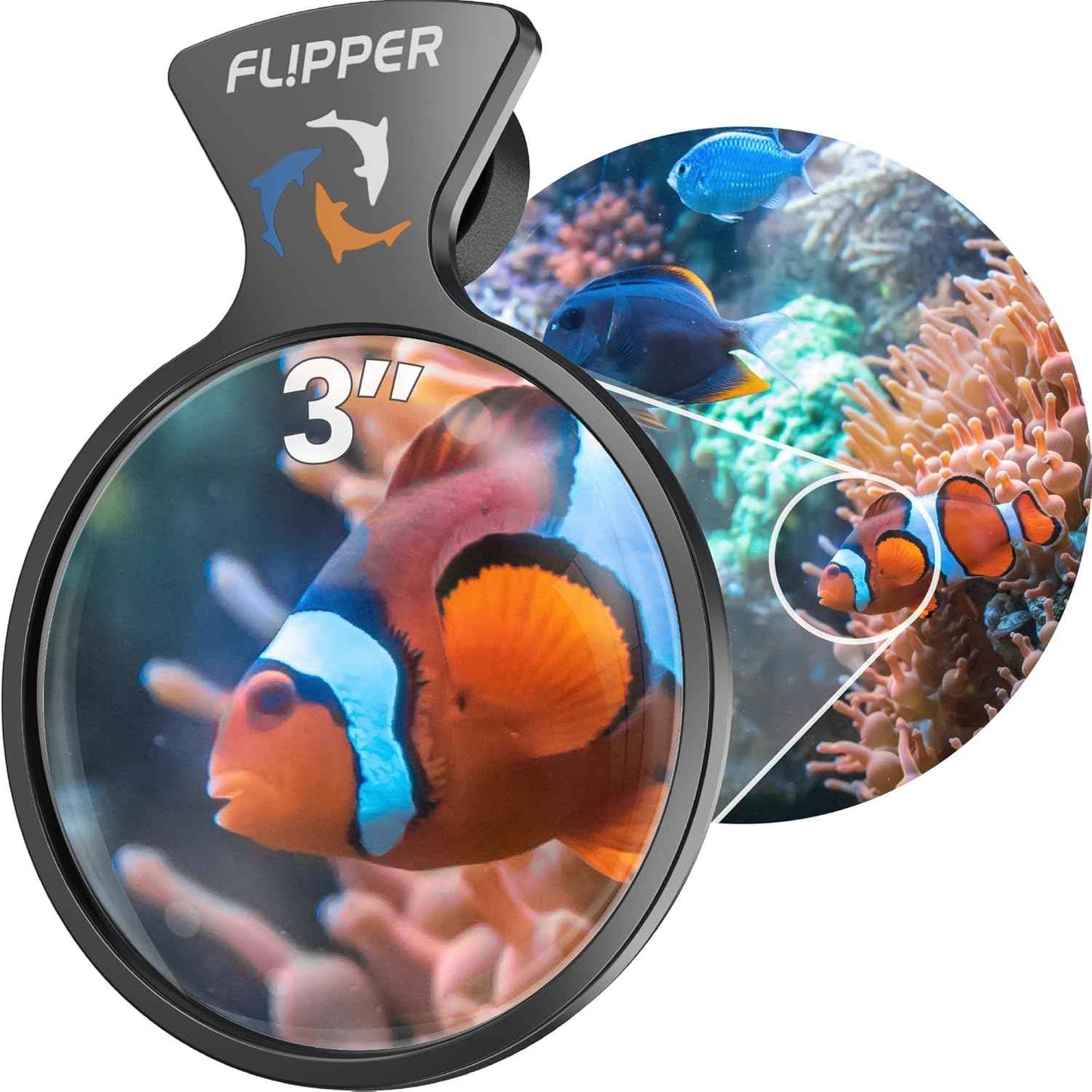DeepSee Viewer Nano