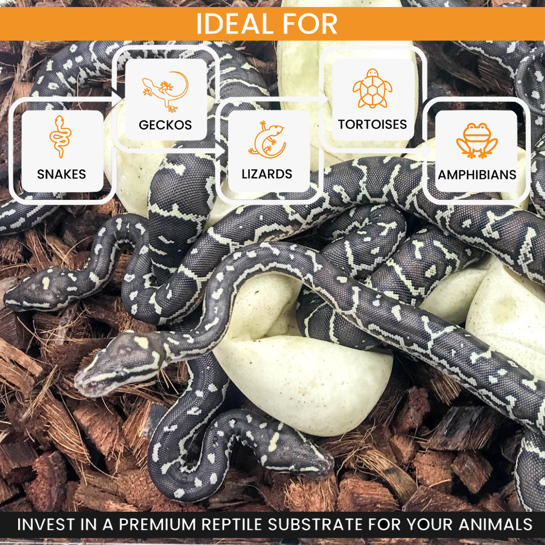 ReptiChip Coarse Coconut Chip Mix; Ready to Use - Scholarly Exotics LLC