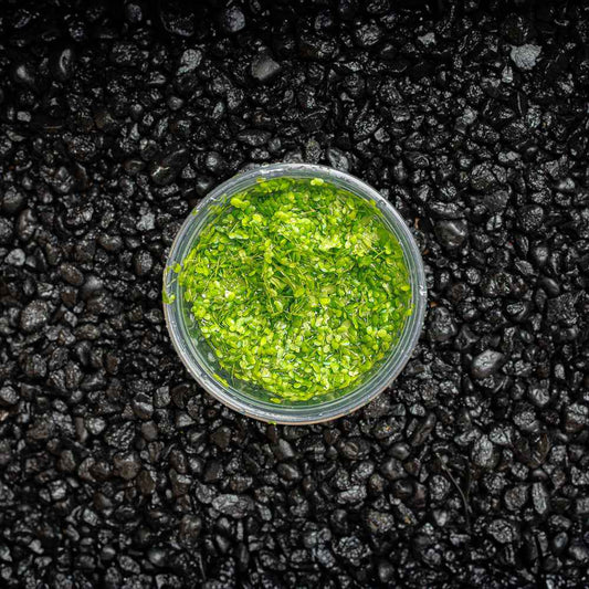 Duckweed