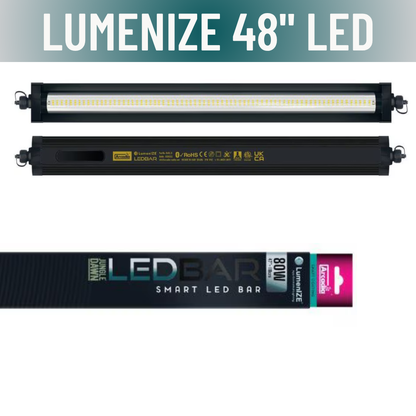 LumenIZE Jungle Dawn LED Bar - Scholarly Exotics LLC