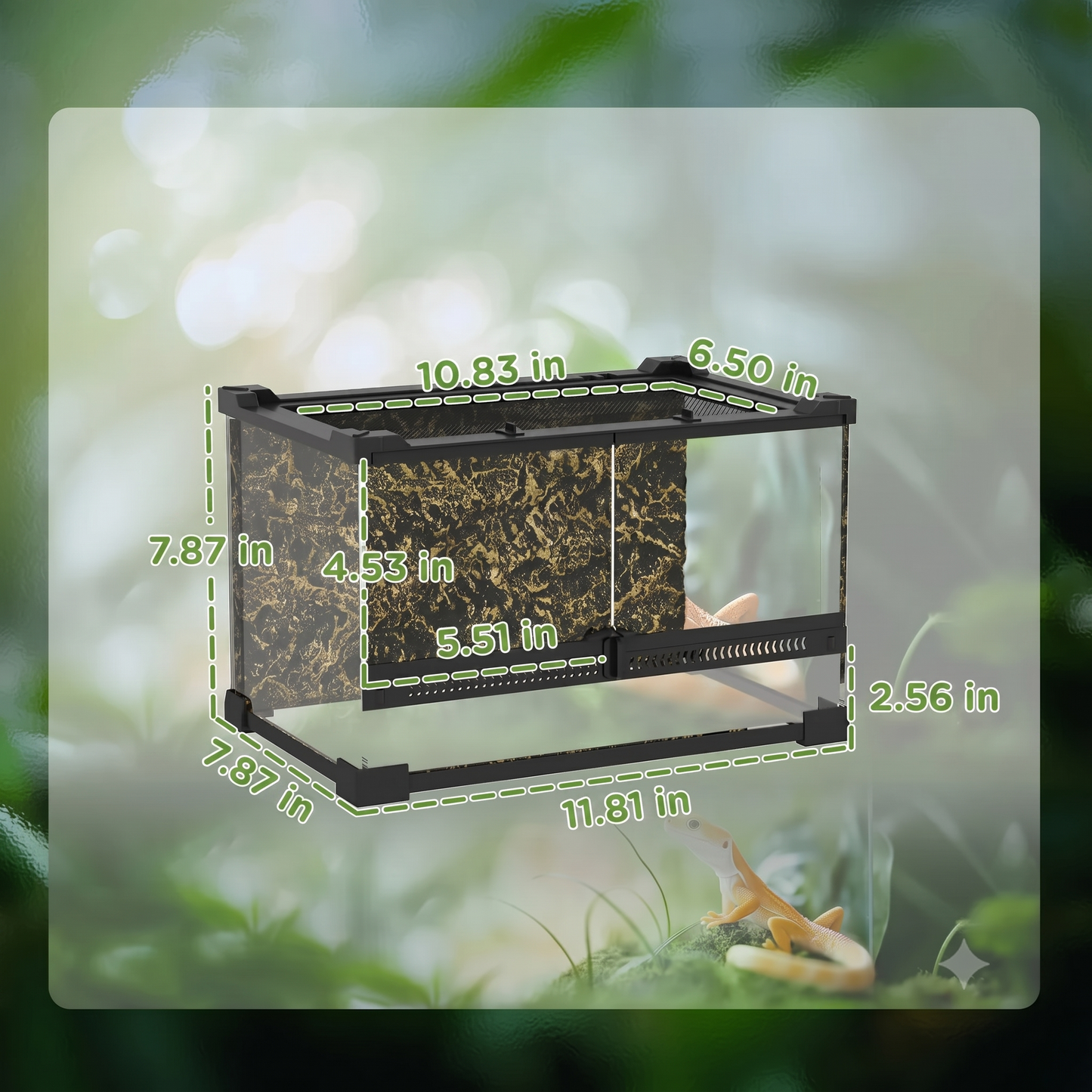 Glass Terrarium – 360° Clear-View