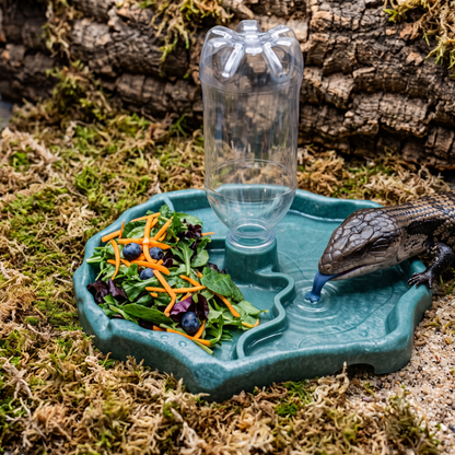 2-in-1 Dual Reptile Food & Water Dish with Gravity-Fed Bottle Slot