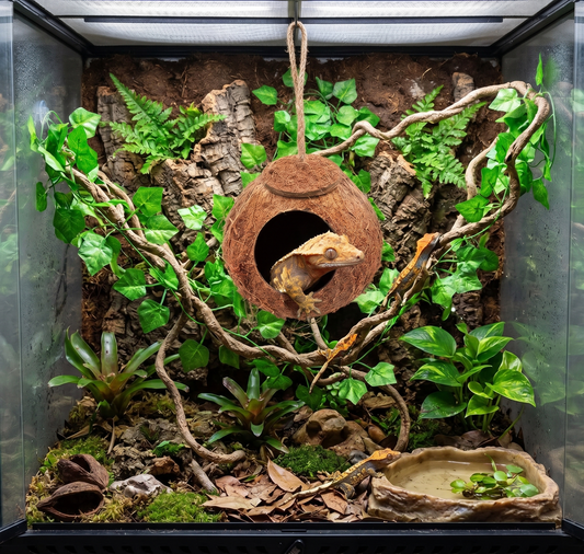 Hanging Natural Coconut Reptile Hide with Vine