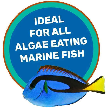Hikari Saki-Hikari Marine Herbivore MD Sinking Fish Food 3.17 oz.