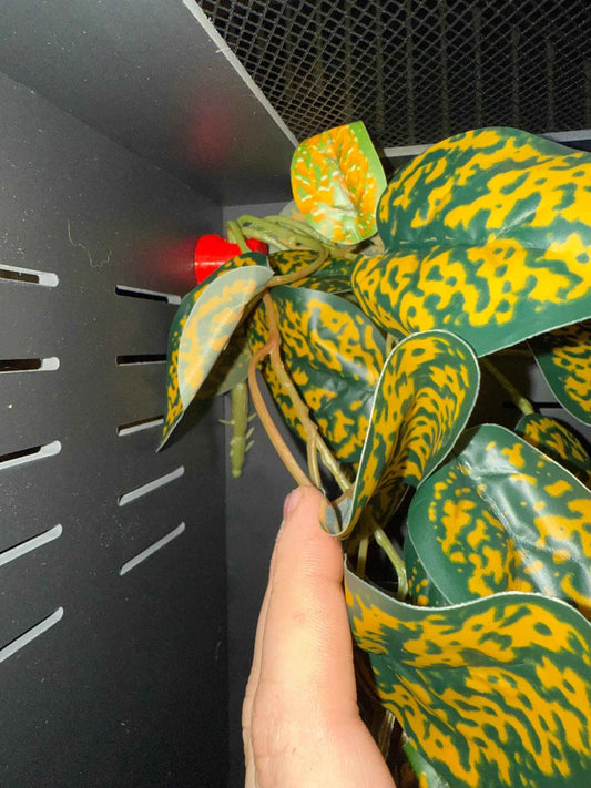 Magnetic Artificial Plant Mount