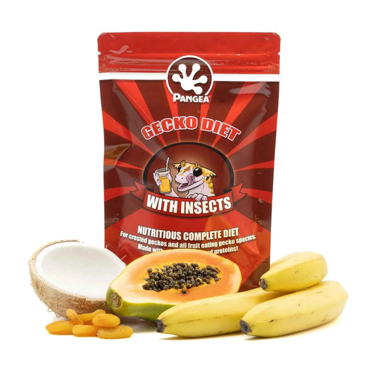 Pangea Gecko Diet with Insect