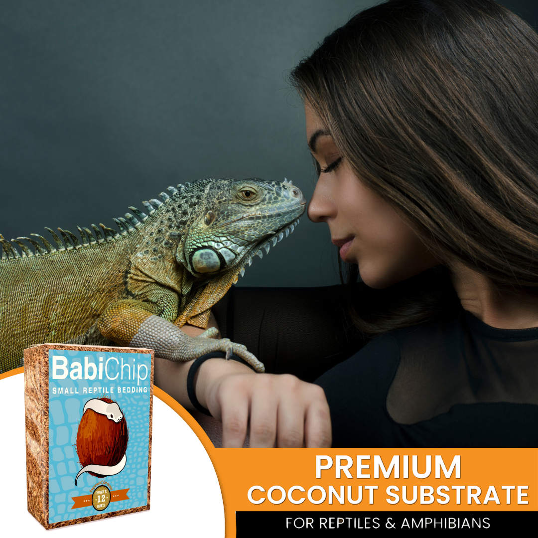 BabiChip Premium Small Sized Coconut Chips
