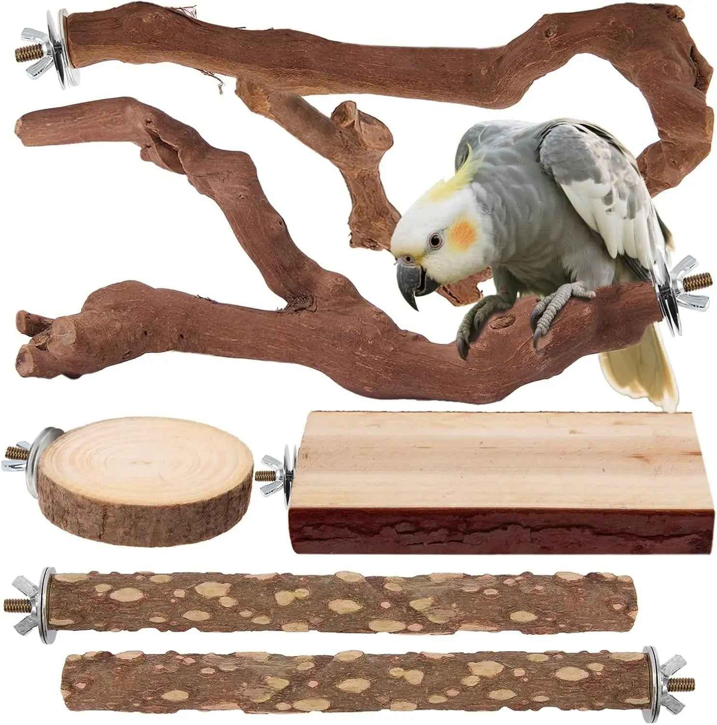 Natural Bird Perch Set – 6PC Grapewood & Peppercorn Branch Perches, Toys