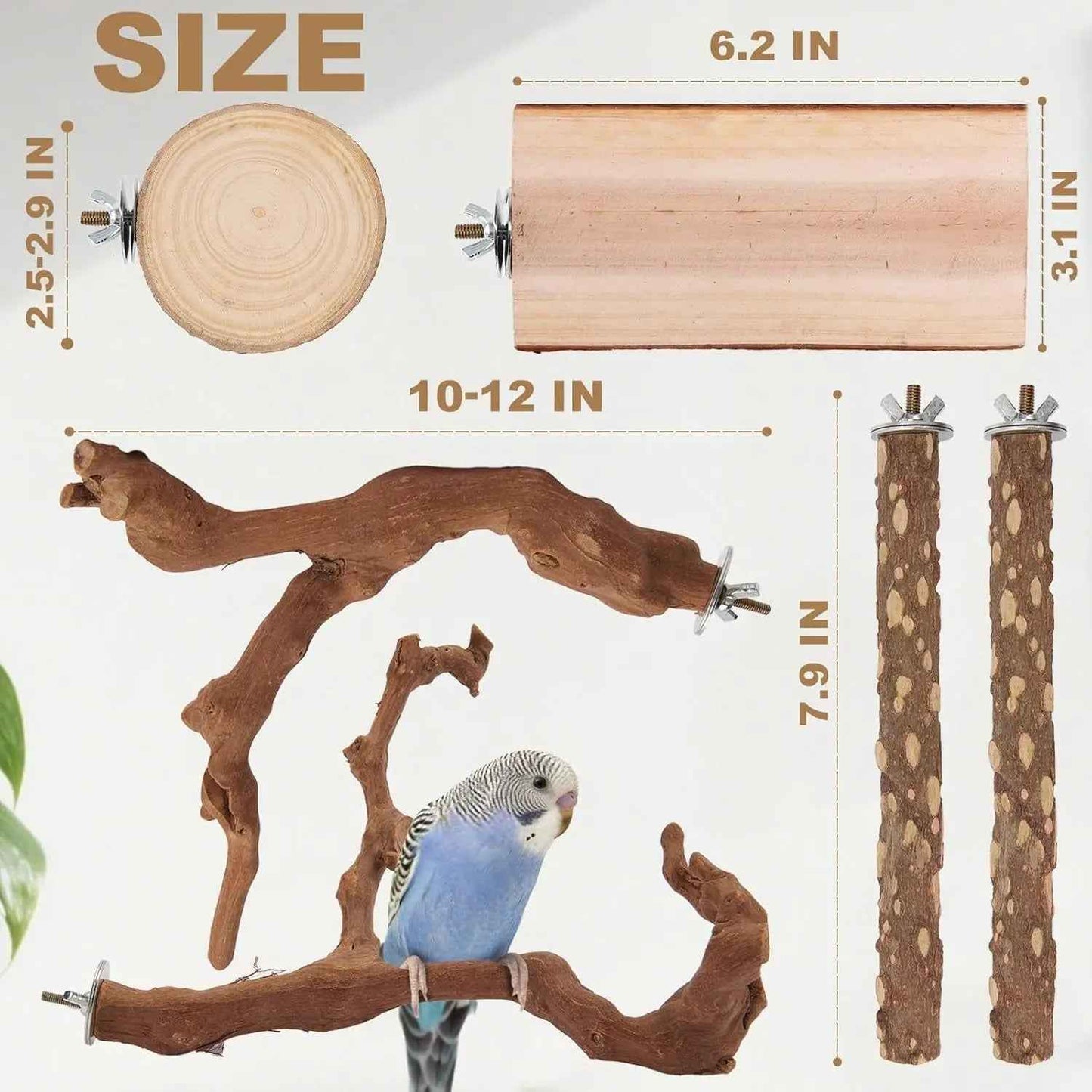 Natural Bird Perch Set – 6PC Grapewood & Peppercorn Branch Perches, Toys