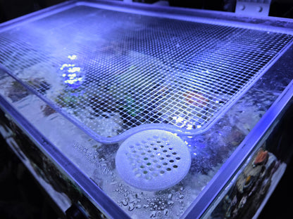 Reef Ready 50-Gallon AIO System