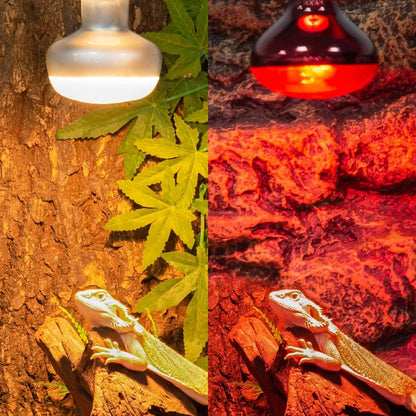 75W Reptile Heat Lamp Bulb UVA & Infared Bulb | 2 Pack