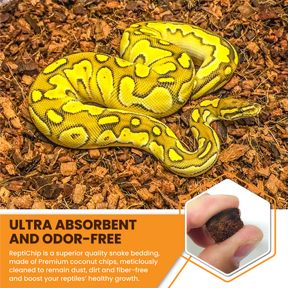 ReptiChip Breeder Blocks and Bundles - Scholarly Exotics LLC