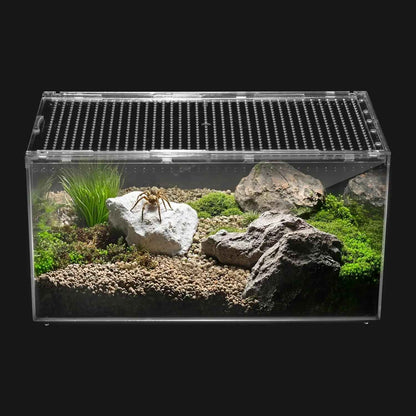 Reptile PC Terrarium Starter Kit Enclosure for Tarantulas, Reptiles & Insects