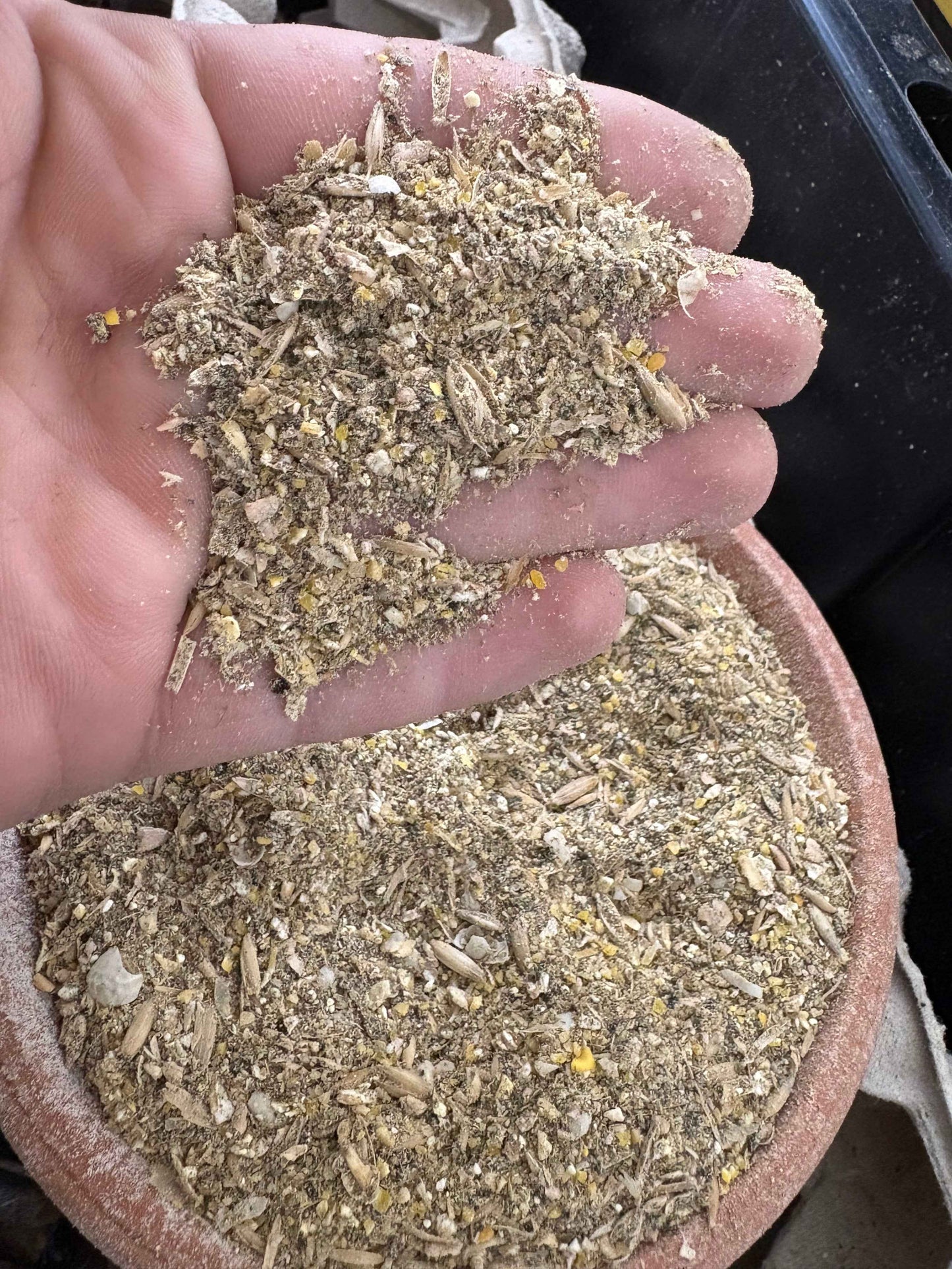 Tasty Critters Roach Chow