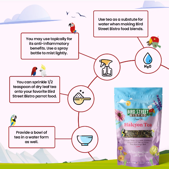 Parrot Food Super-Pack