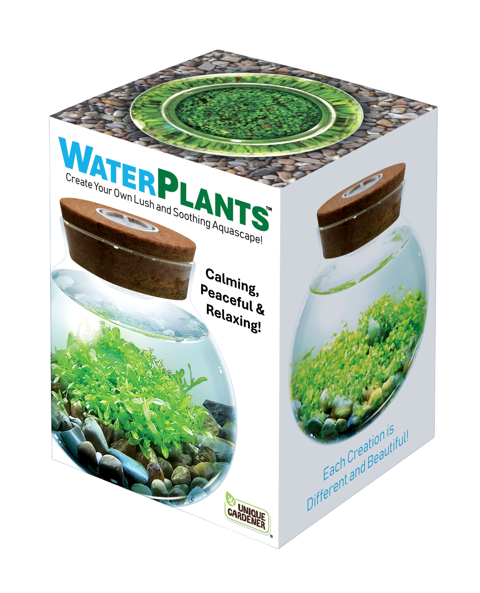 Box of Water Plants with images of plants and text on a white background