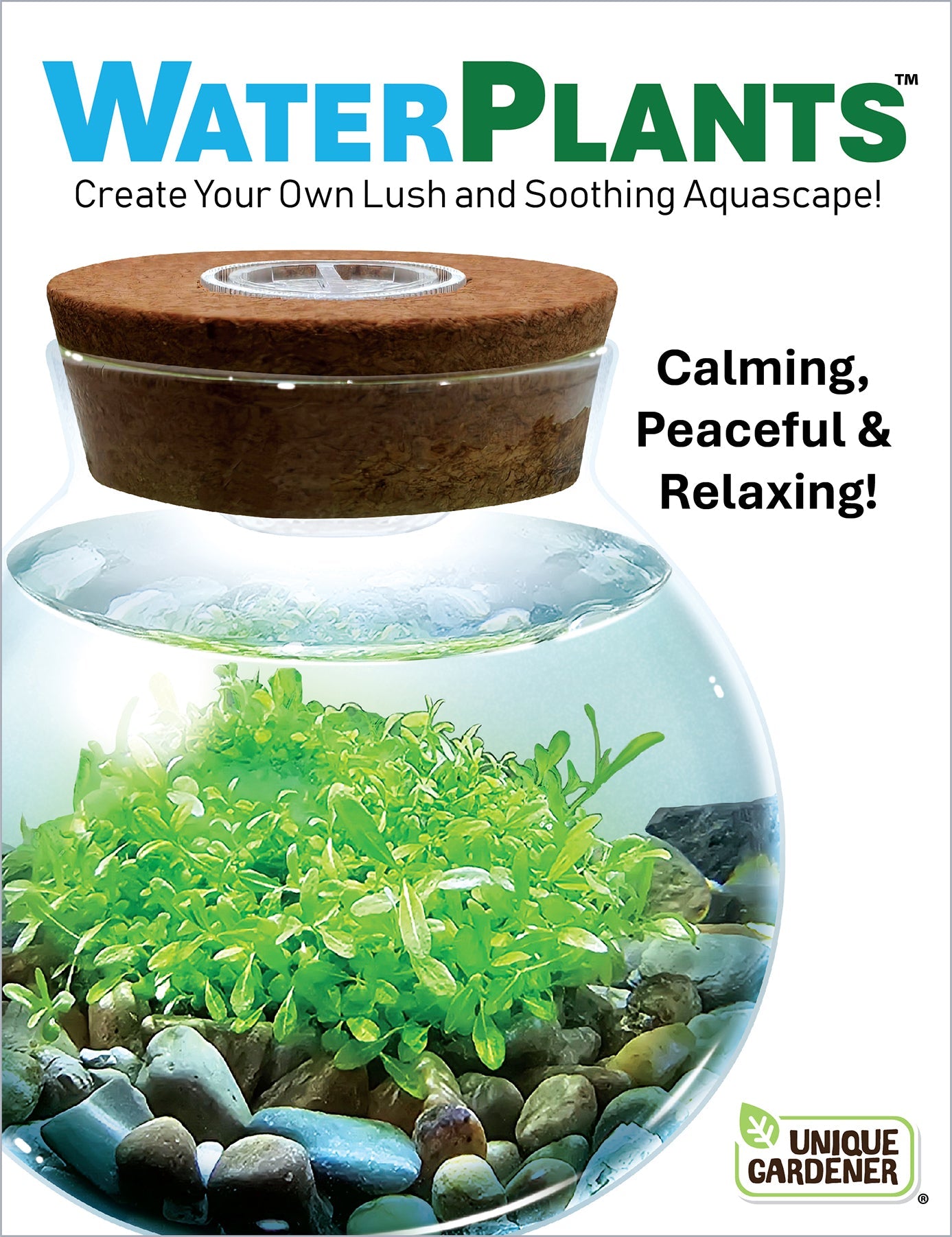 Aquarium with water plants and cork base, promoting a calming and relaxing environment.
