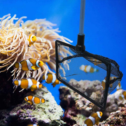 Fish Net (2.5") for Fish Tank