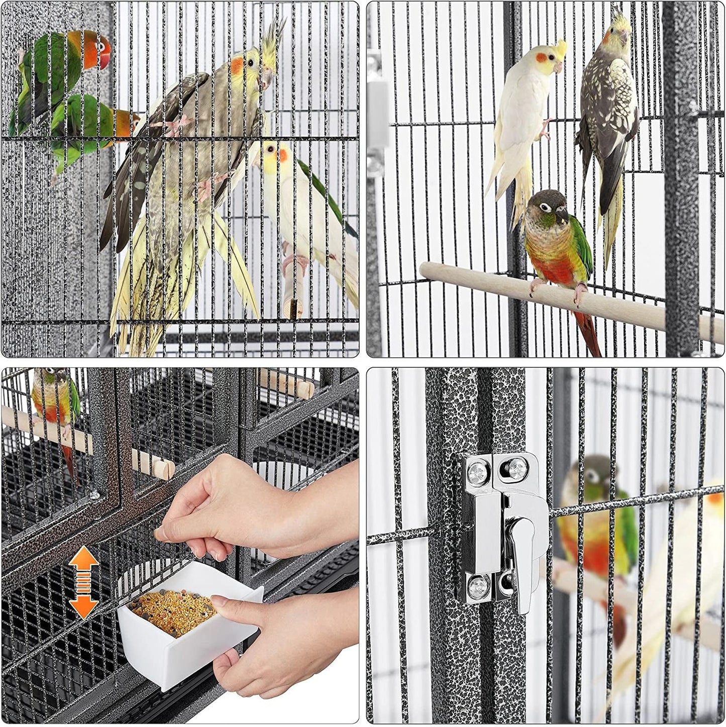 Divided Breeder for Birds