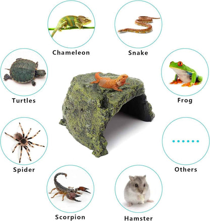 Reptile Rock Hide Cave Natural Resin Habitat for Lizards Turtles Fish