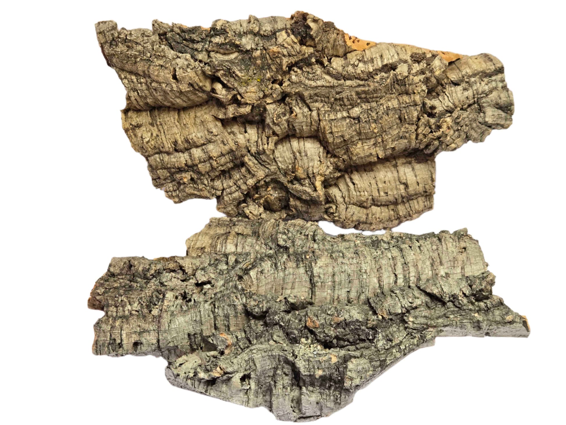 Cork Bark