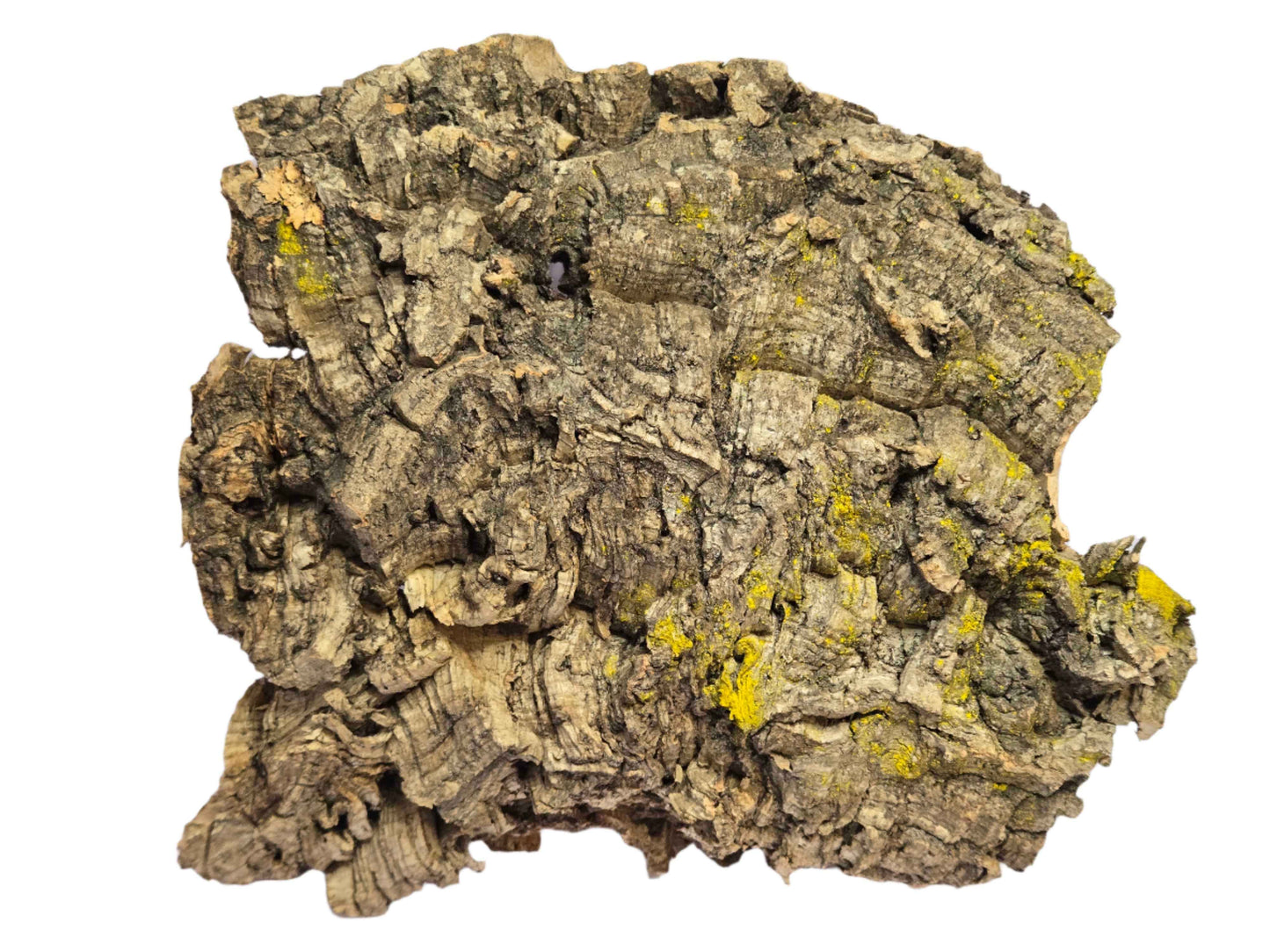 Cork Bark