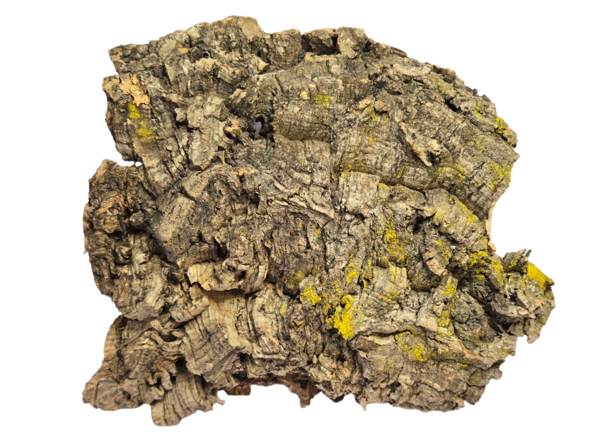 Cork Bark