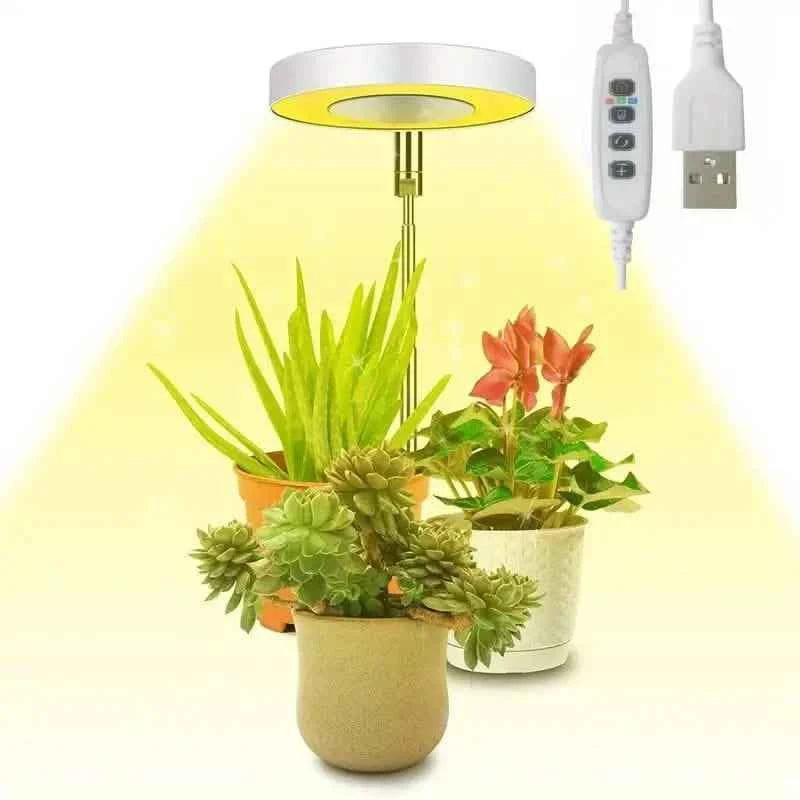 Full Spectrum LED Halo Plant Light With Stand Height Adjustable Auto Timer