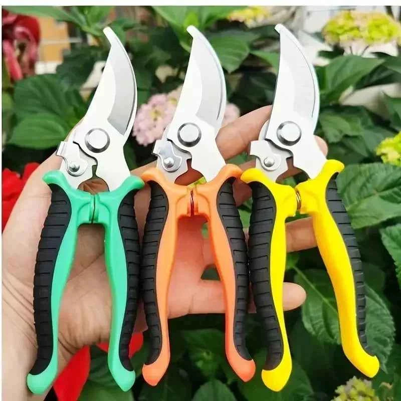 Horticultural Scissors | Bird Beak Pruning Shears for Garden and Fruit Cutting
