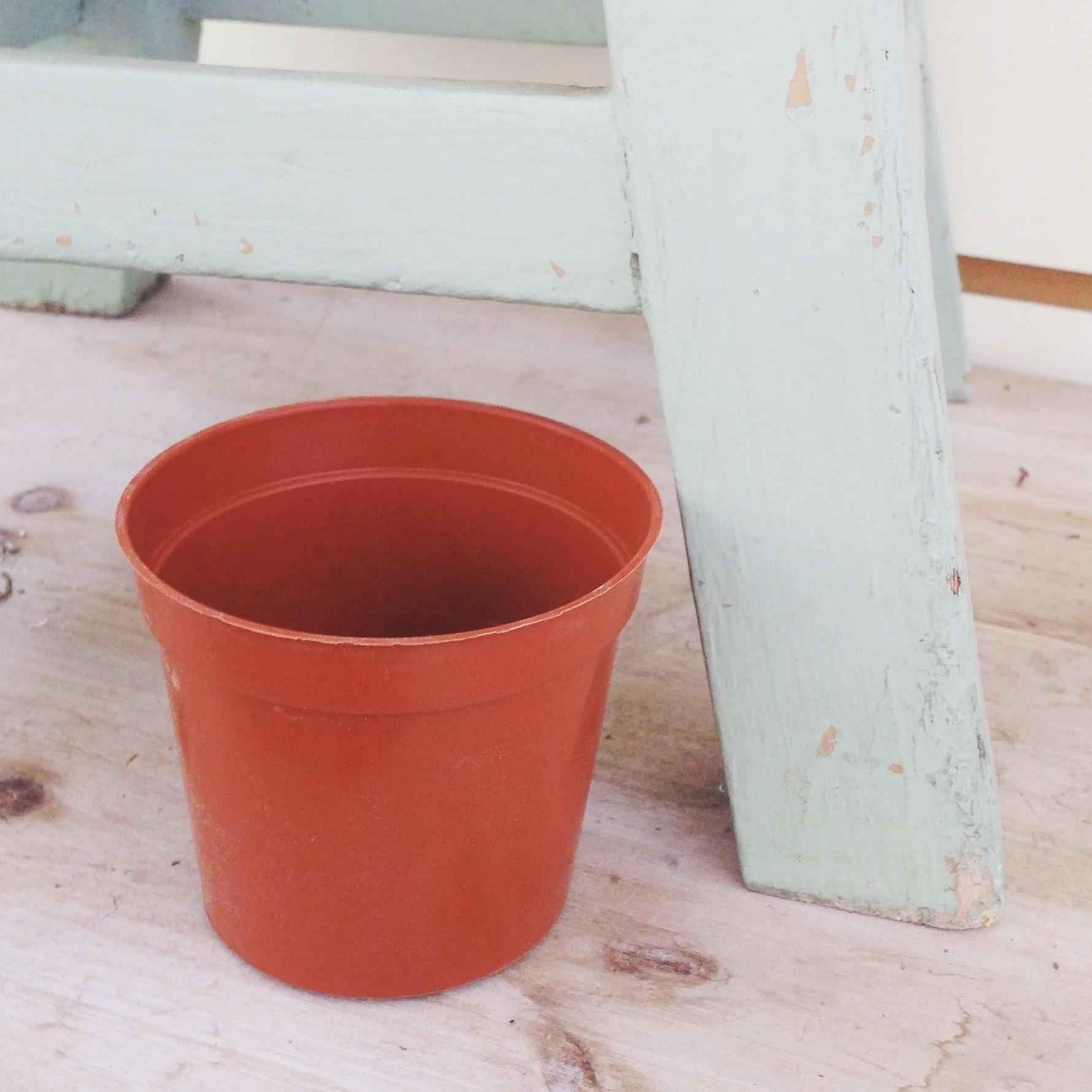 2 Inch Growing Pot