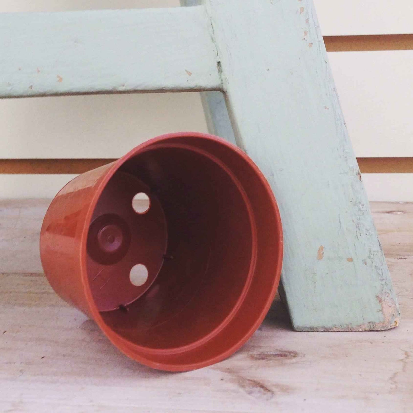 2 Inch Growing Pot