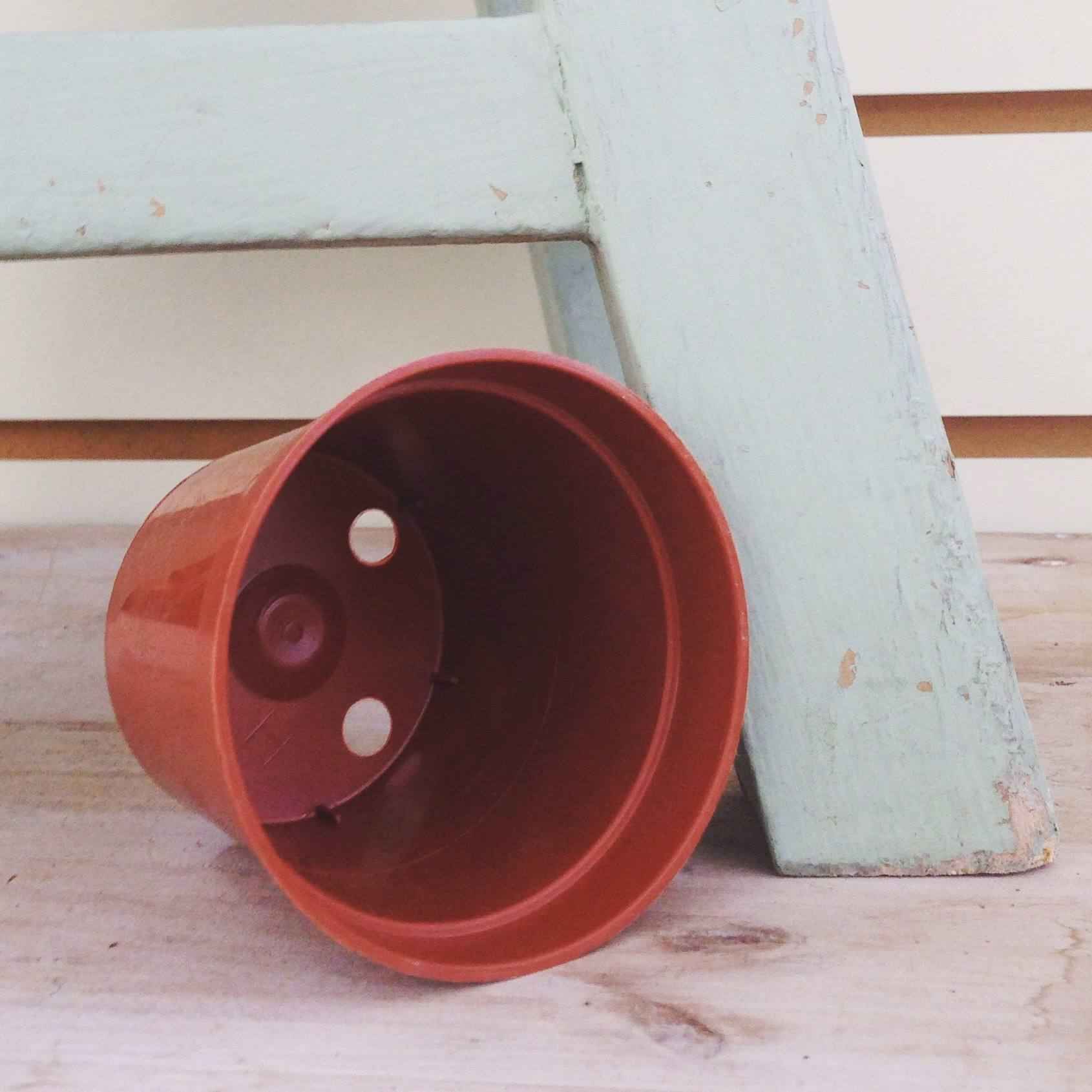2 Inch Growing Pot