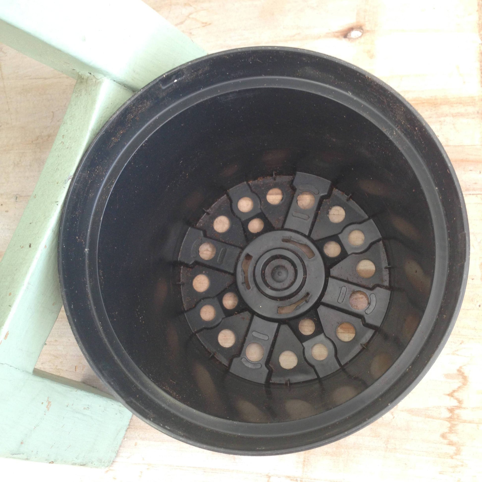 4" Growing Pot - Scholarly Exotics LLC