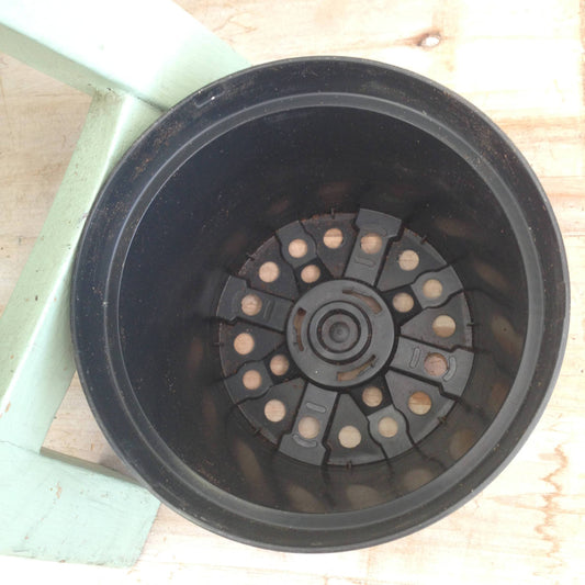 4" Growing Pot - Scholarly Exotics LLC