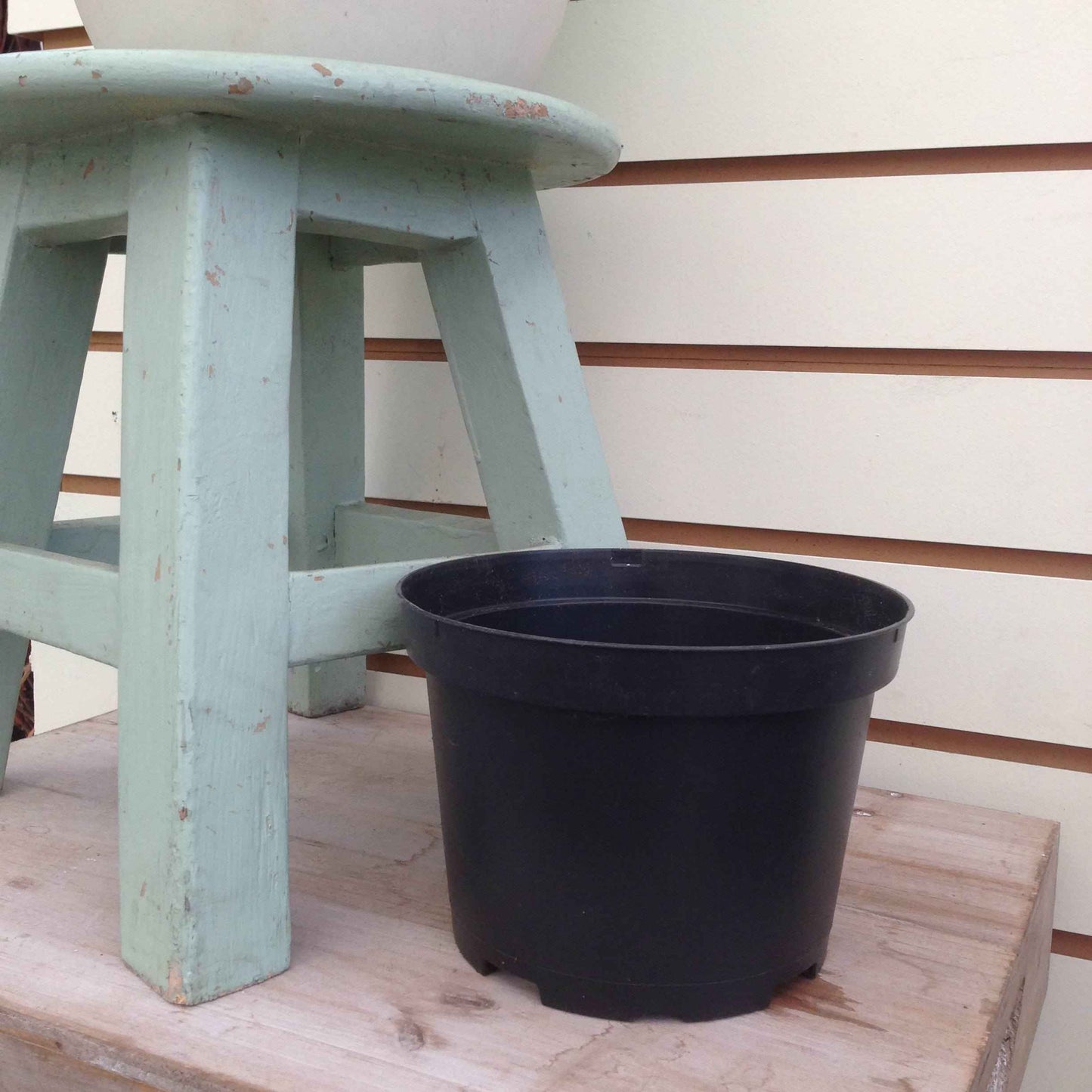 4 Inch Growing Pot