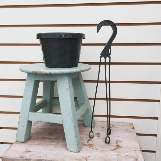 6" Growing Pot - Scholarly Exotics LLC
