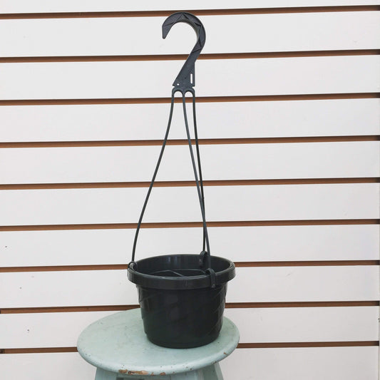 6" Growing Pot - Scholarly Exotics LLC
